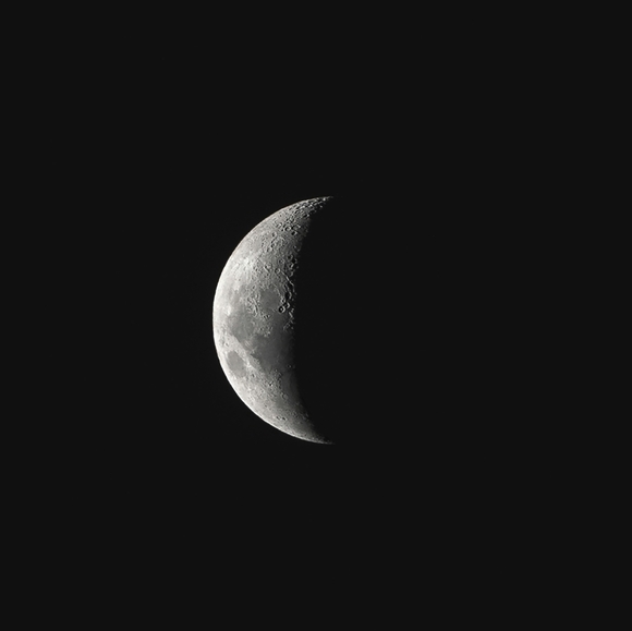 Meet your Posher, Angela - Picture 1 of 1